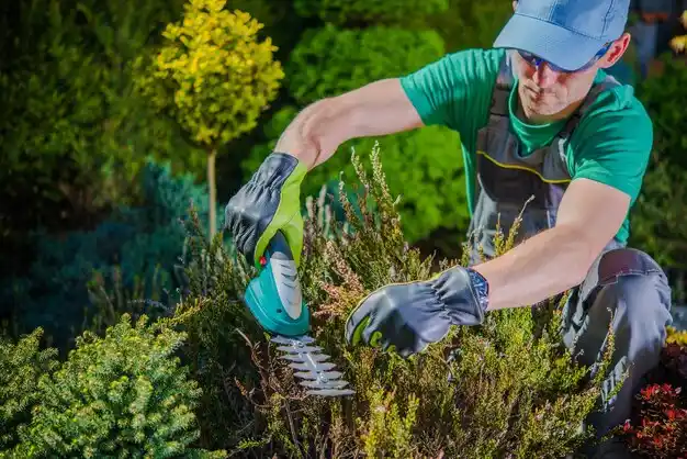 landscaping services St. Louis